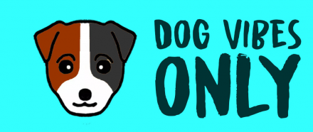 Bij DogVibesOnly de leukste online dierenwinkel en hondenspeciaalzaak vind je de leukste halsband van Nederland