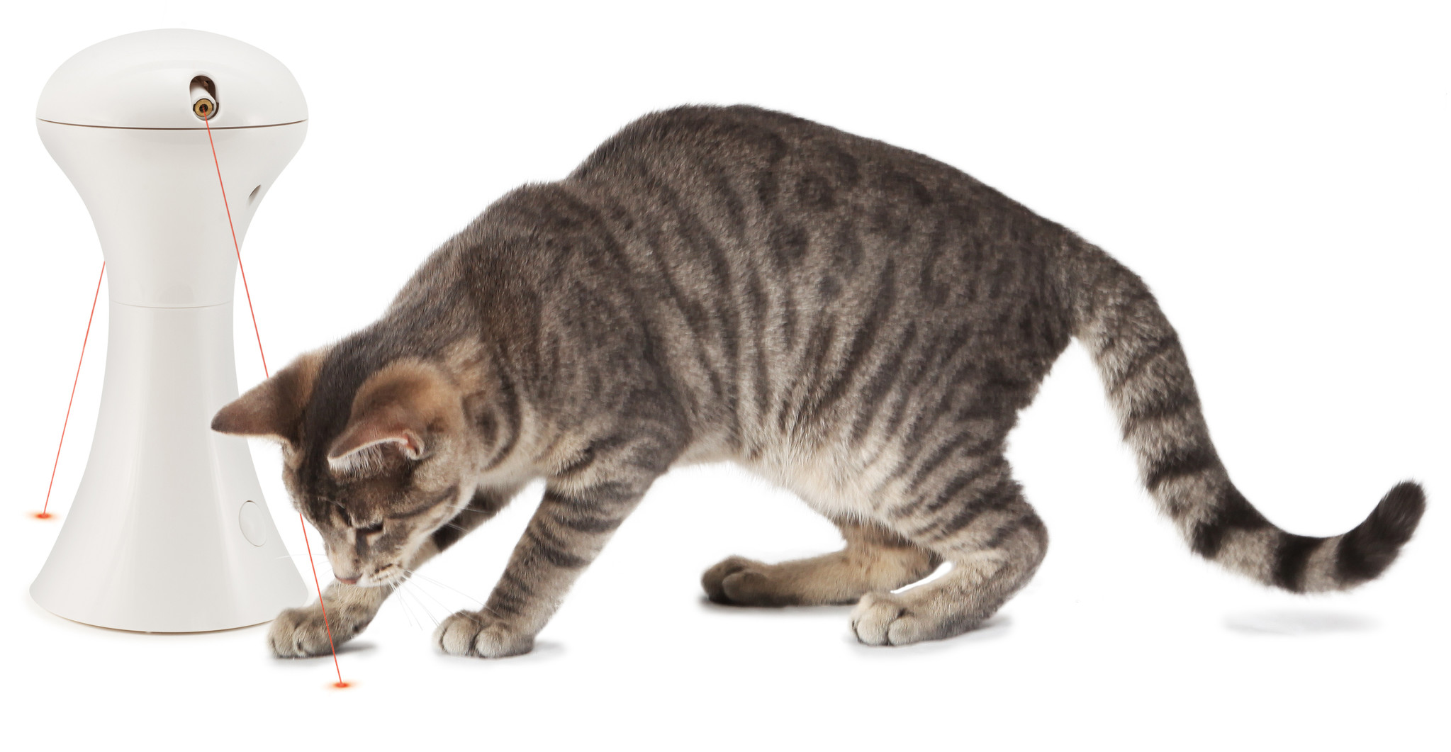 FroliCat Kattenspeelgoed Dart duo interactieve met laser, foto 3 van 4