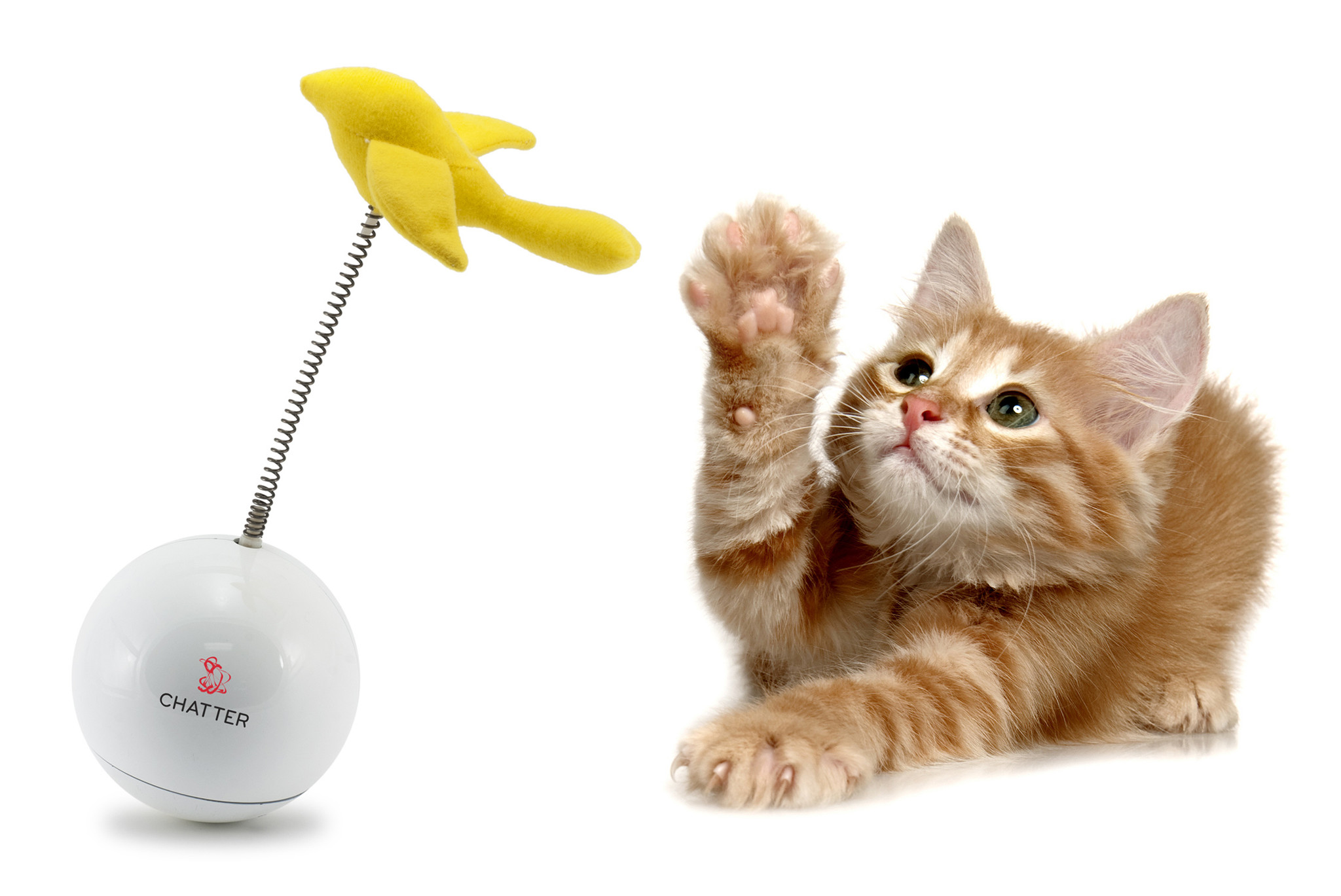 FroliCat Kattenspeelgoed Chatter, foto 4 van 4