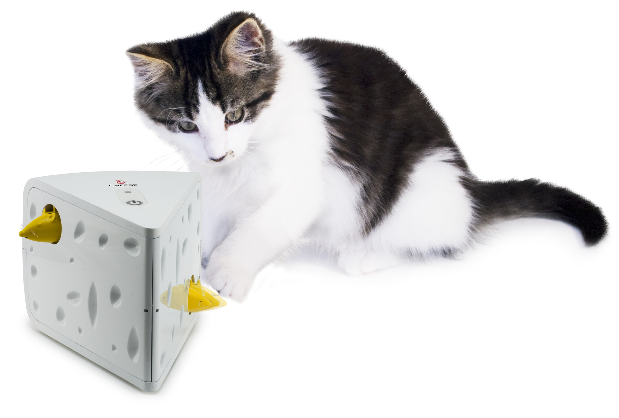 FroliCat Kattenspeelgoed Cheese, foto 6 van 6