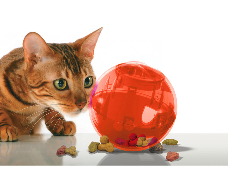 PetSafe Snackbal Slimcat oranje