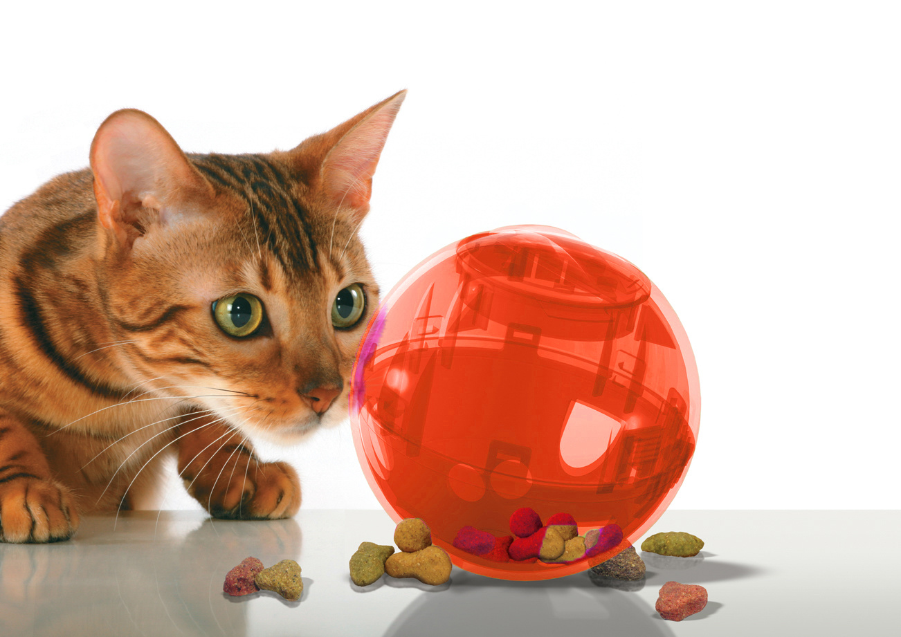 PetSafe Snackbal Slimcat oranje, foto 4 van 4