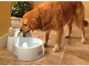 Drinkwell Big Dog drinkfontein voor grote honden (8,5 l)