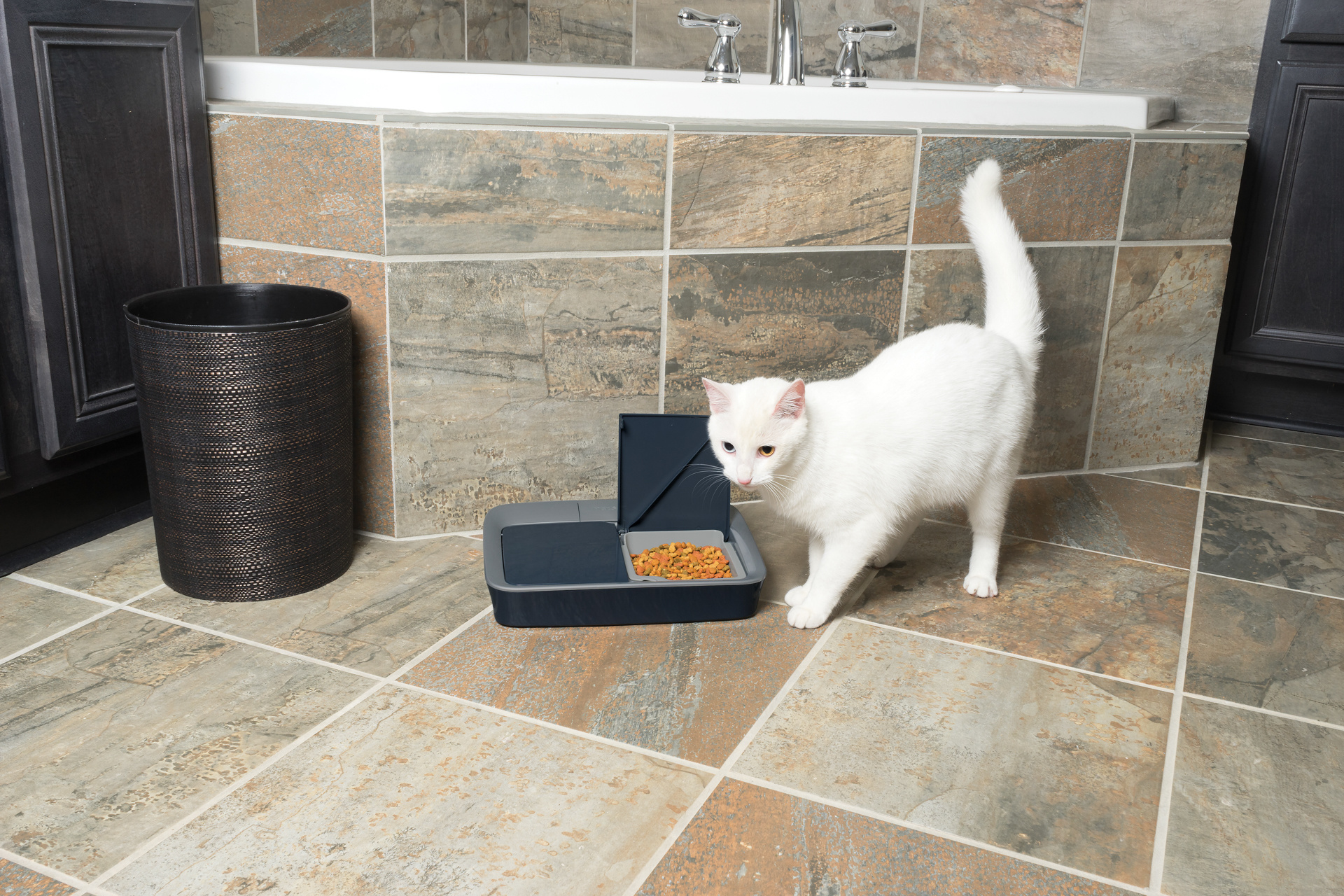 PetSafe Voersysteem voor 2 maaltijden, foto 5 van 6