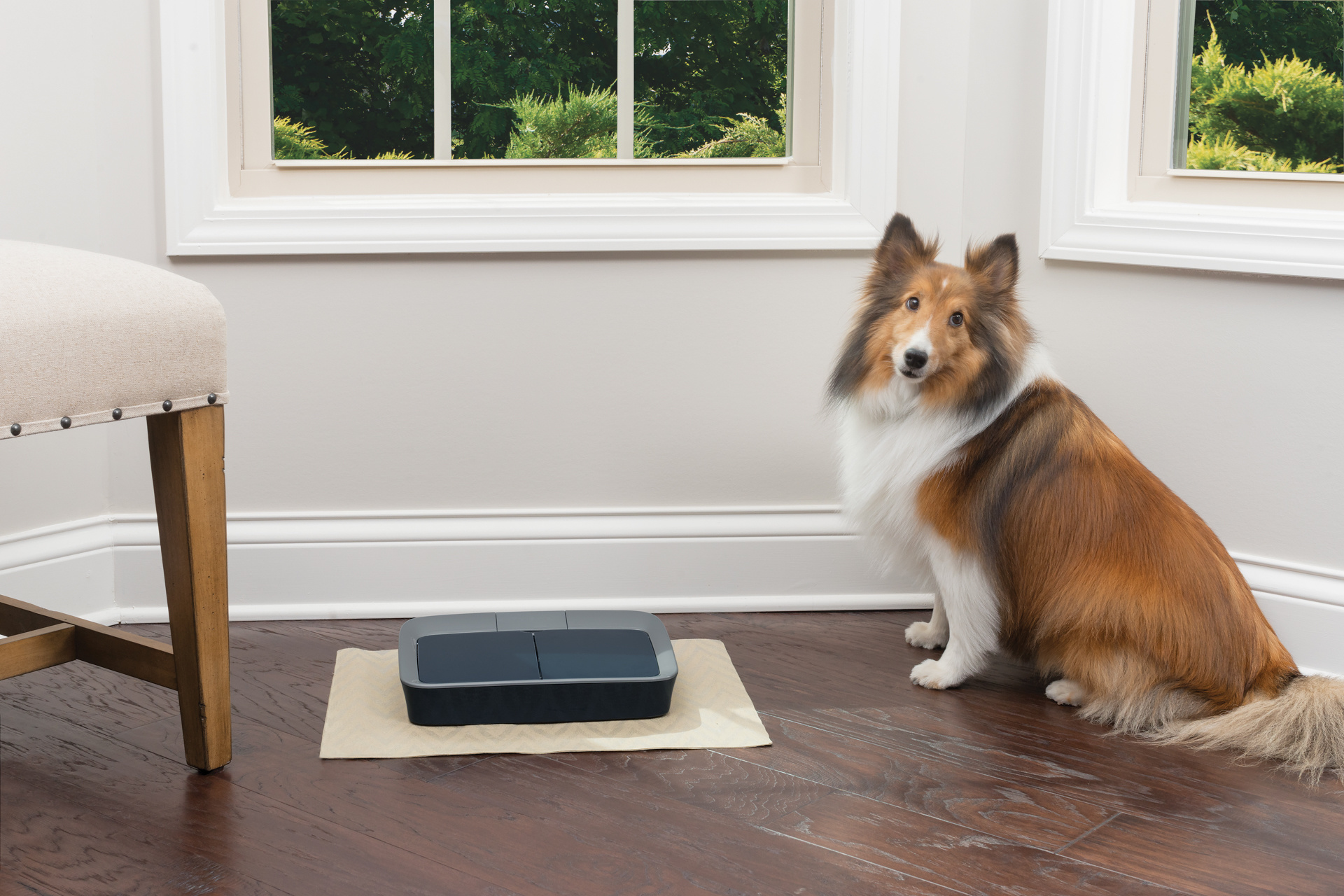 PetSafe Voersysteem voor 2 maaltijden, foto 6 van 6