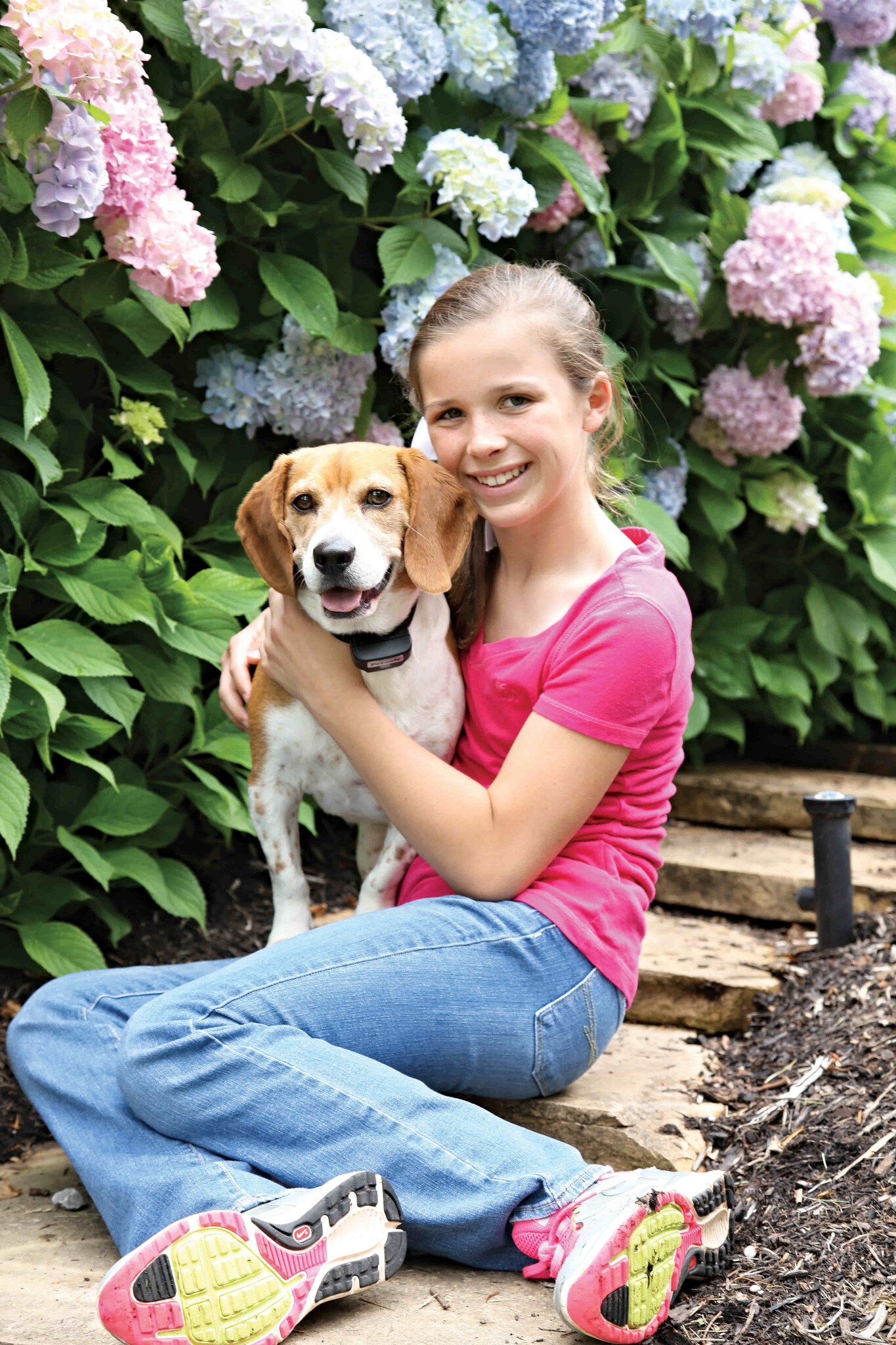 PetSafe Ontvanger (voor omheiningsysteem met draad), foto 3 van 3