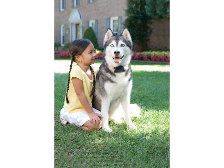 PetSafe Omheiningsysteem met draad (voor grotere/moeilijke honden)