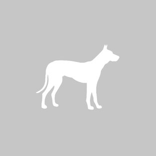 PetSafe & dierenverjagers