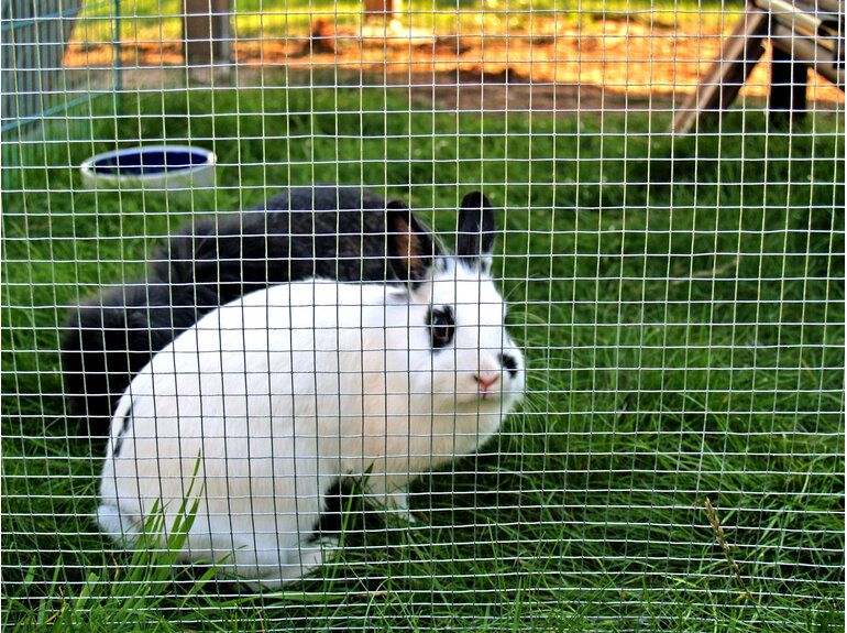 Natuurgaas Volieregaas Volinet verzinkt (19x1,45 mm) 100 cm