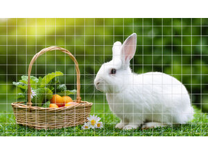 Natuurgaas Volieregaas Volinet verzinkt (19x1,45 mm) 60-120 cm