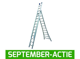 3-delige Reformladder met uitgebogen bomen (8 t/m 12 sporten) GEANODISEERD