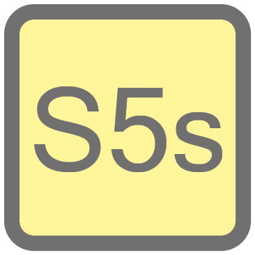 DS5S