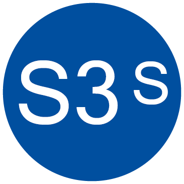 S3S