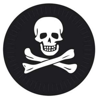 Skull | Schedel versiering