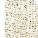 Ginger Ray Backdrop bloemen goud | 180 x 200cm Ginger Ray Backdrop bloemen goud | 180 x 200cm