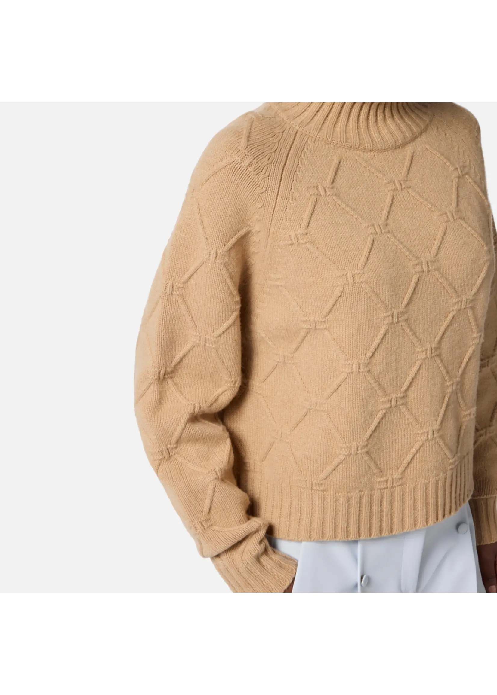 Elisabetta Franchi TRUI MK55T57E2