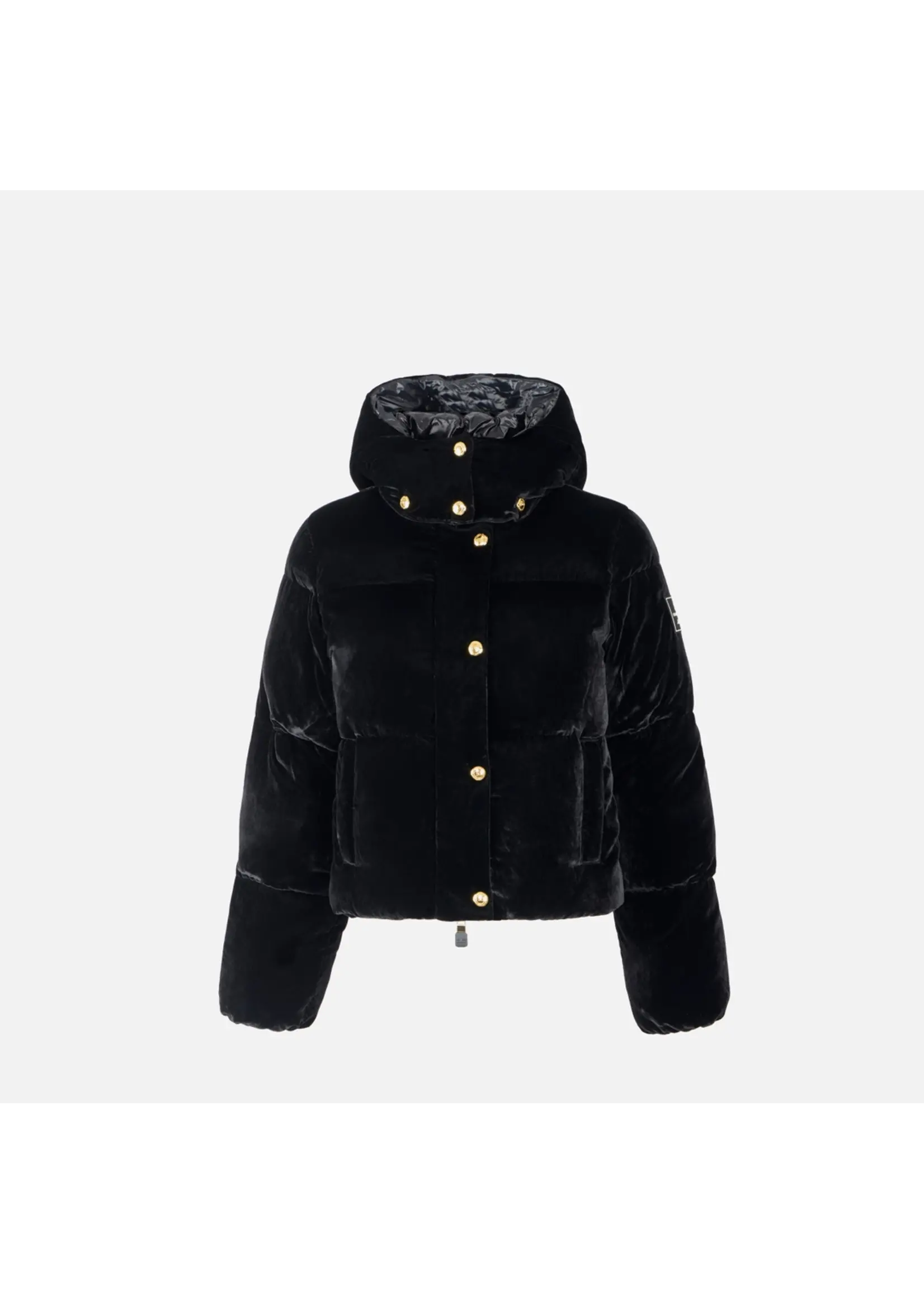 Elisabetta Franchi JACK PI82D56E2 PADDED