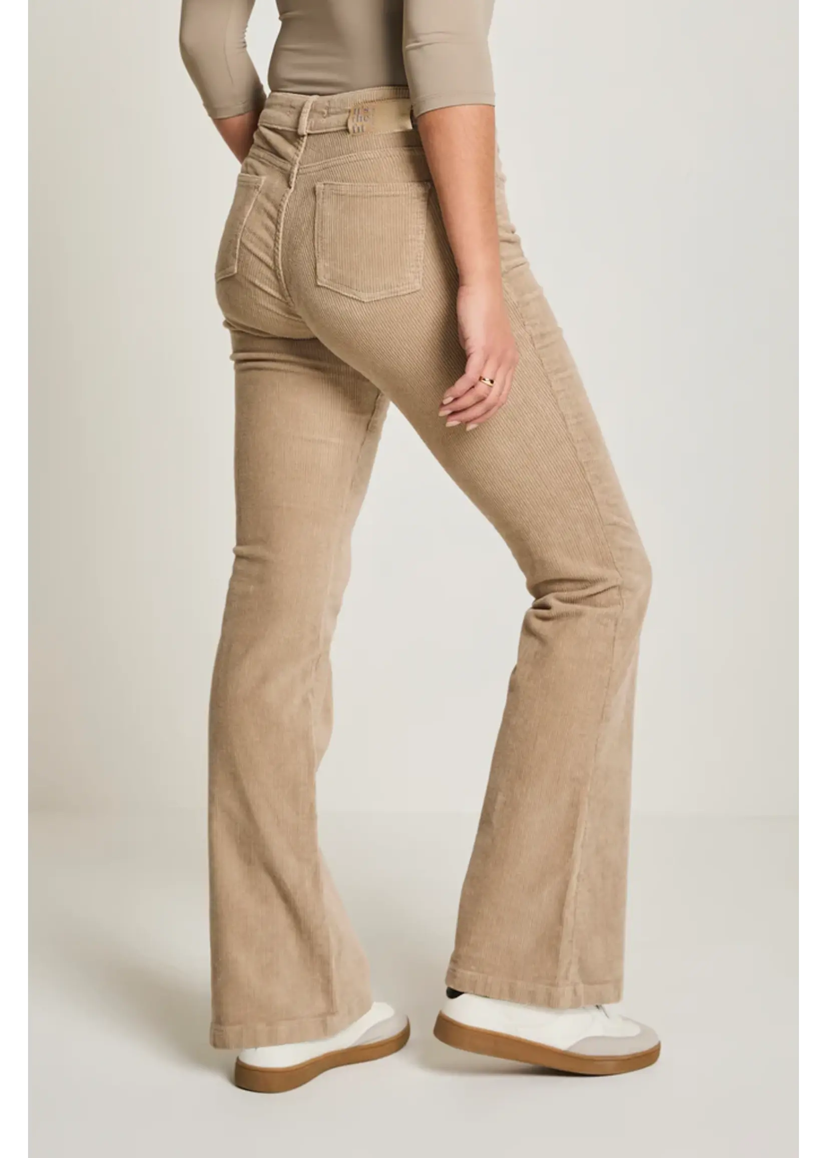 Para-Mi PANTALON  JADE   FW251.104070