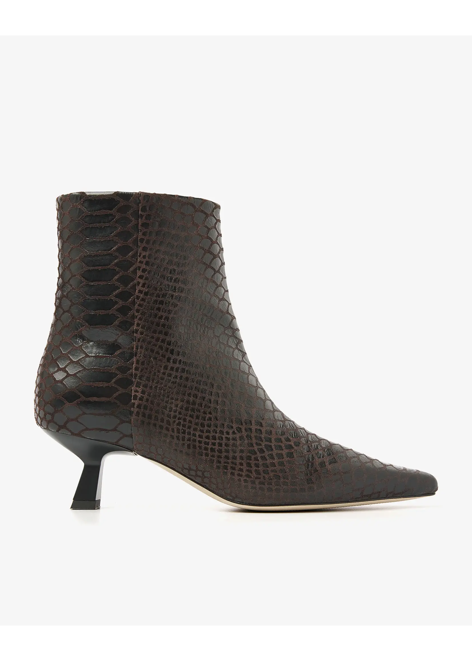 VIA VAI LAARZEN SUZY ALEX BRUIN