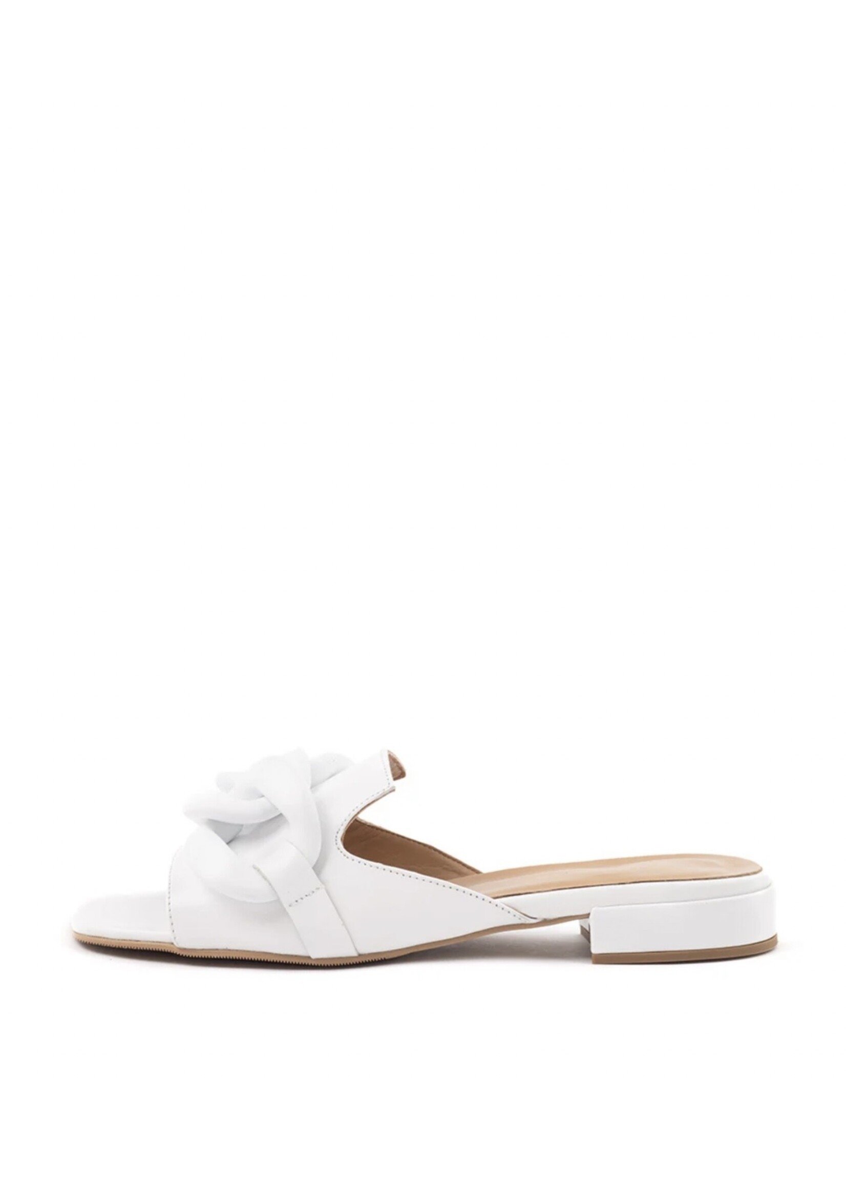 Babouche SLIPERS 6405-1