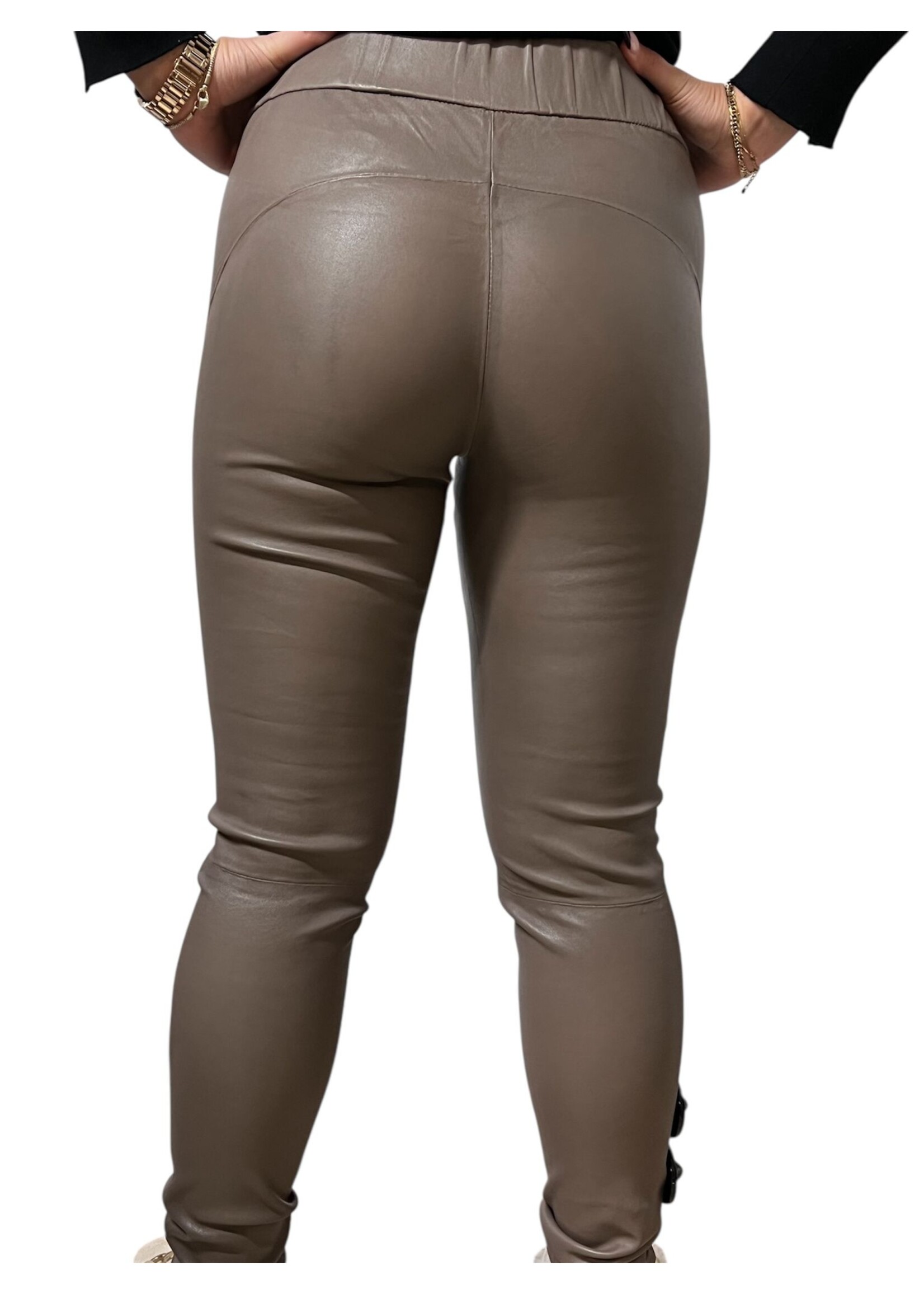 Gustav LEREN BROEK DARA 58009