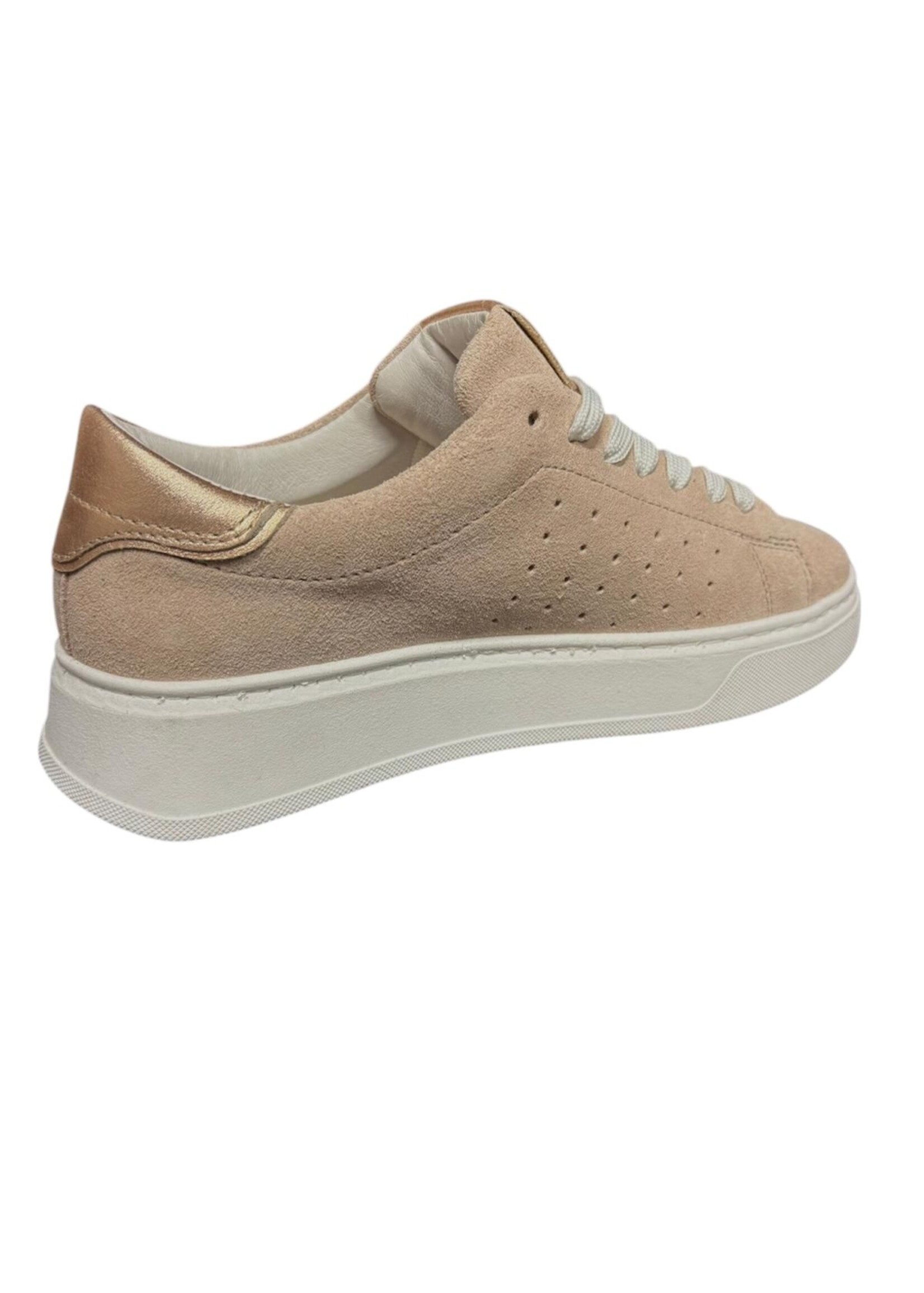 HIP SNEAKERS ROOM D1871