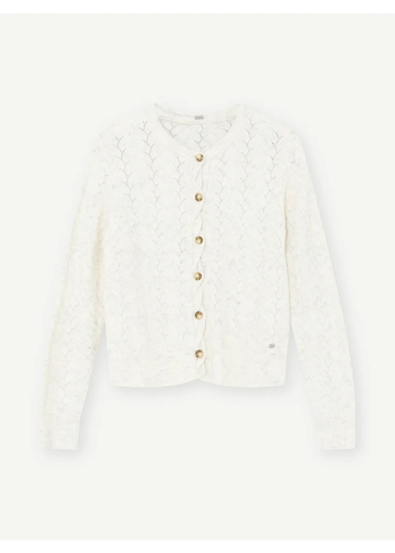 Gustav VEST GABINA 59606