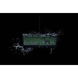 BlackWidow Ultimate Keyboard (Green Switch)