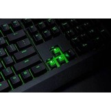 BlackWidow Ultimate Keyboard (Green Switch)