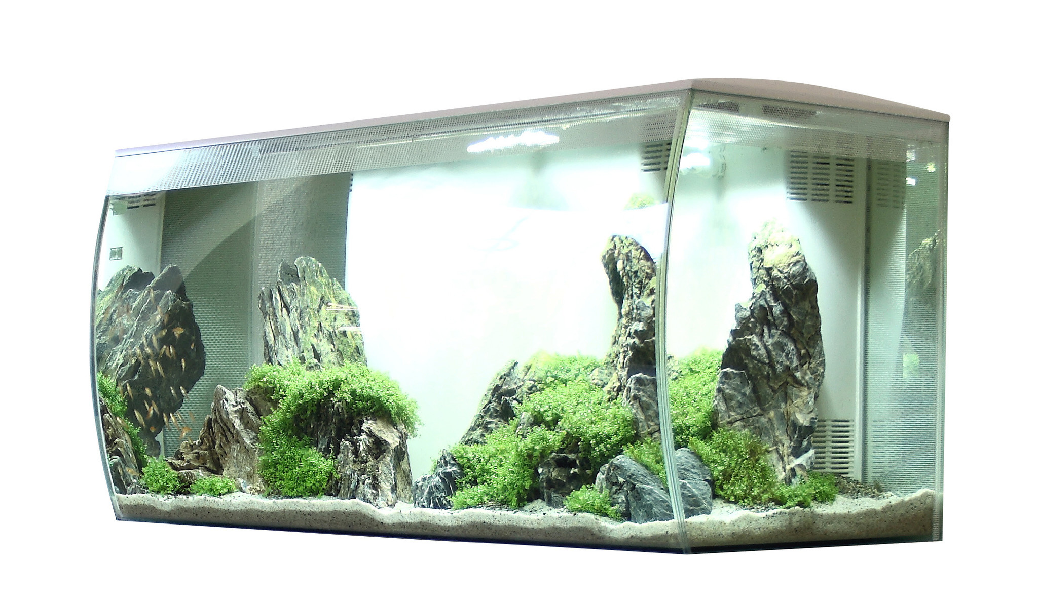 Lao Martelaar vorm Fluval Flex Aquarium Compleet 123L Wit | Incl. filter en LED - AnimalstoreXL
