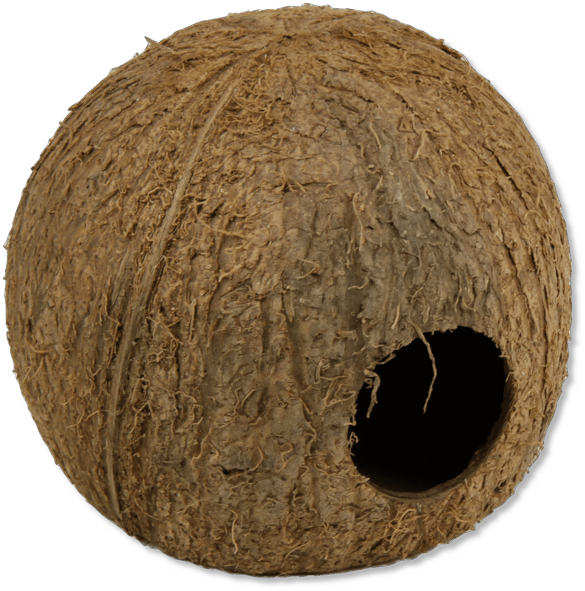 Cocos Cava 3/4 Large