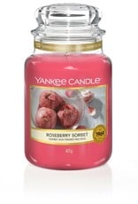 Yankee Candle Yankee Candle Roseberry Sorbet Large