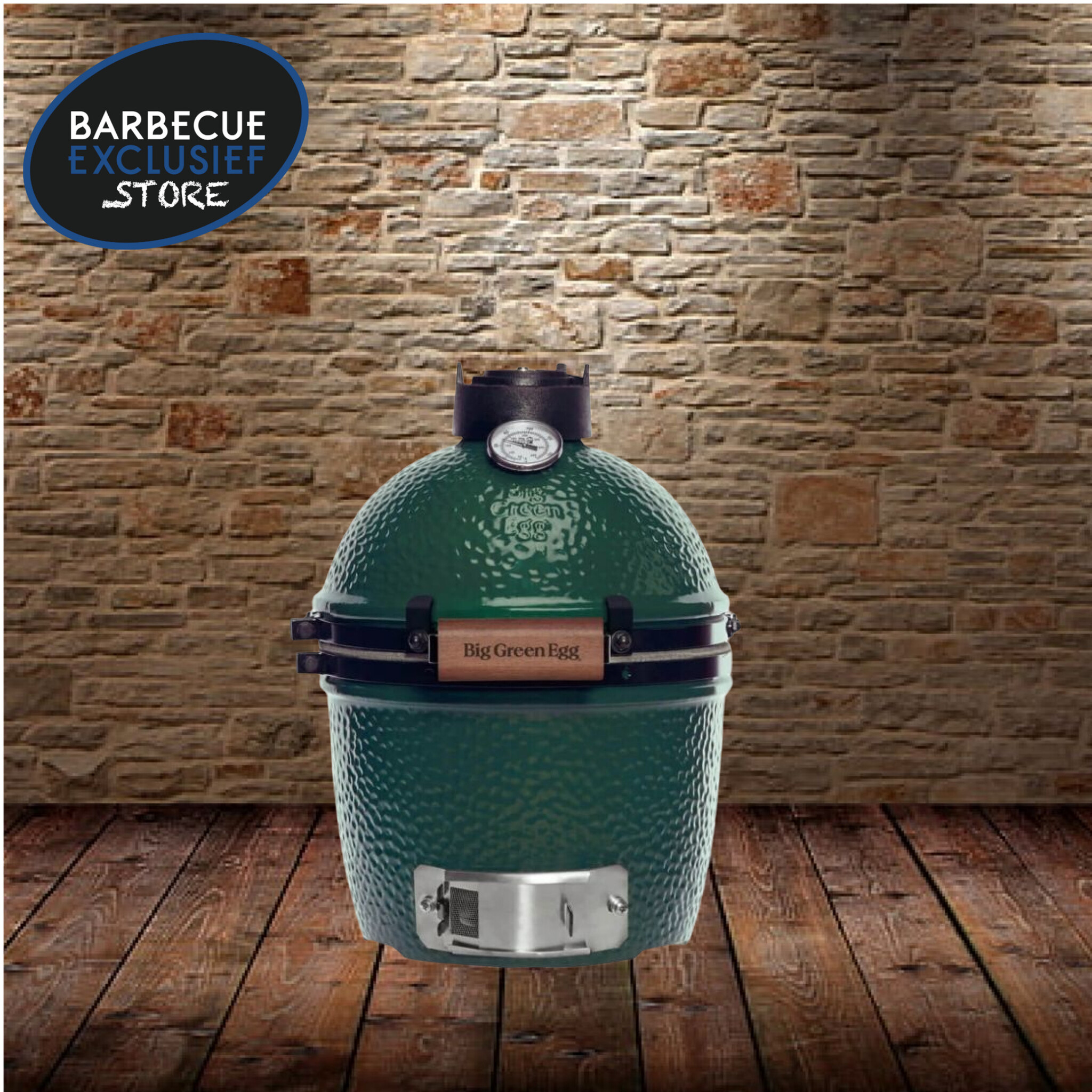 Big Green Egg Big Green Egg Mini