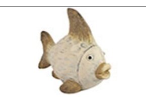 Vis B Dumont L crème beeld