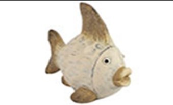 Vis B Dumont L crème beeld