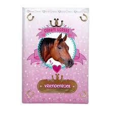 Dreamhorse Vriendenboek