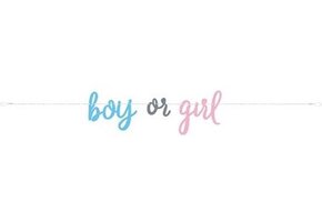 Letterslinger Gender Reveal 213 cm