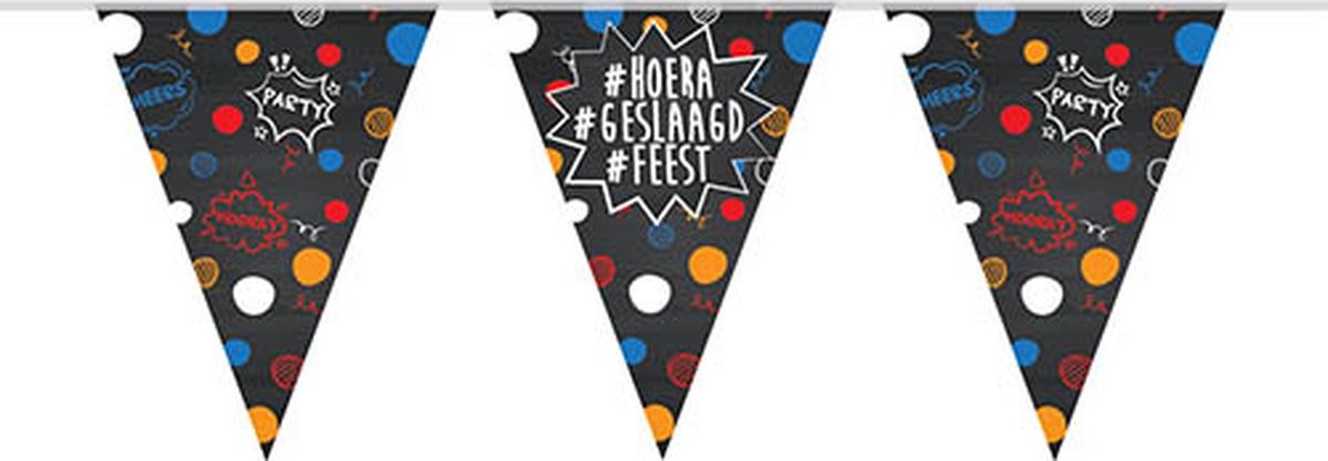 Vlaggenlijn geslaagd 10 m