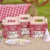 Ginger Ray Farm Yard Party Boxes - Personaliseerbare uitdeel doosjes boerderij 5 stuks incl. stickers