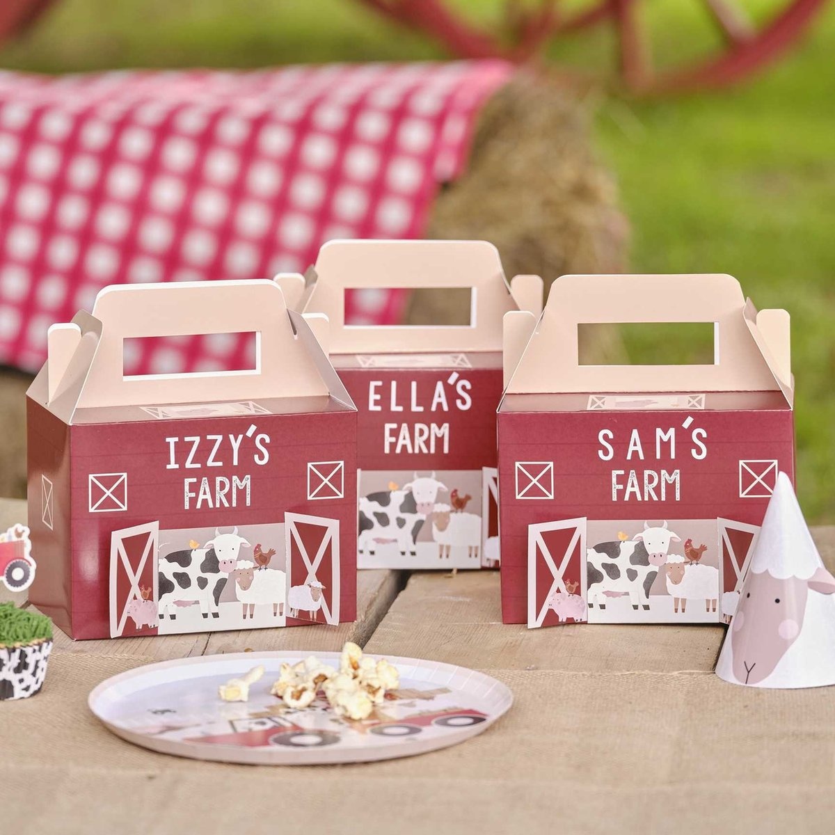 Ginger Ray Farm Yard Party Boxes - Personaliseerbare uitdeel doosjes boerderij 5 stuks incl. stickers