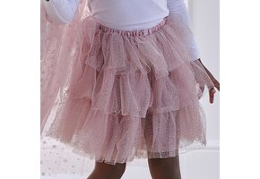 Tutu Roze & Zilver - 3-5 jaar