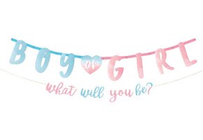 Geboorteslinger The Big Reveal 187 Cm Papier Blauw/roze