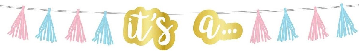 Amscan Geboorteslinger The Big Reveal 240 Cm Papier Blauw/roze