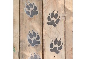 Ginger Ray - 6 Vloerstickers pootafdrukken