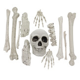 Halloween deco set beenderen - Skelet 12 delig
