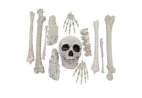 Halloween skelet botten decoratieset – 12-delig