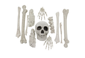 Halloween deco set beenderen - Skelet 12 delig