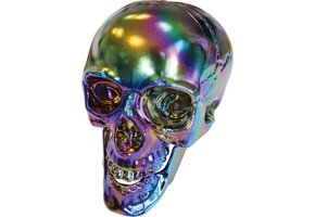 Amscan Decoratieschedel 33 cm Kunststof Multicolor