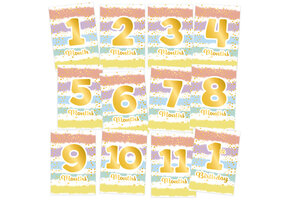 Amscan 12 Baby Milestone Cards 1st Birthday Rainbow