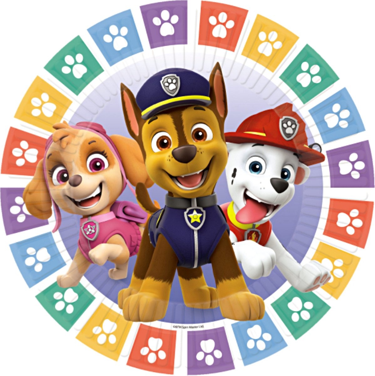 Paw Patrol gebaksbordjes 18 cm - 8 stuks